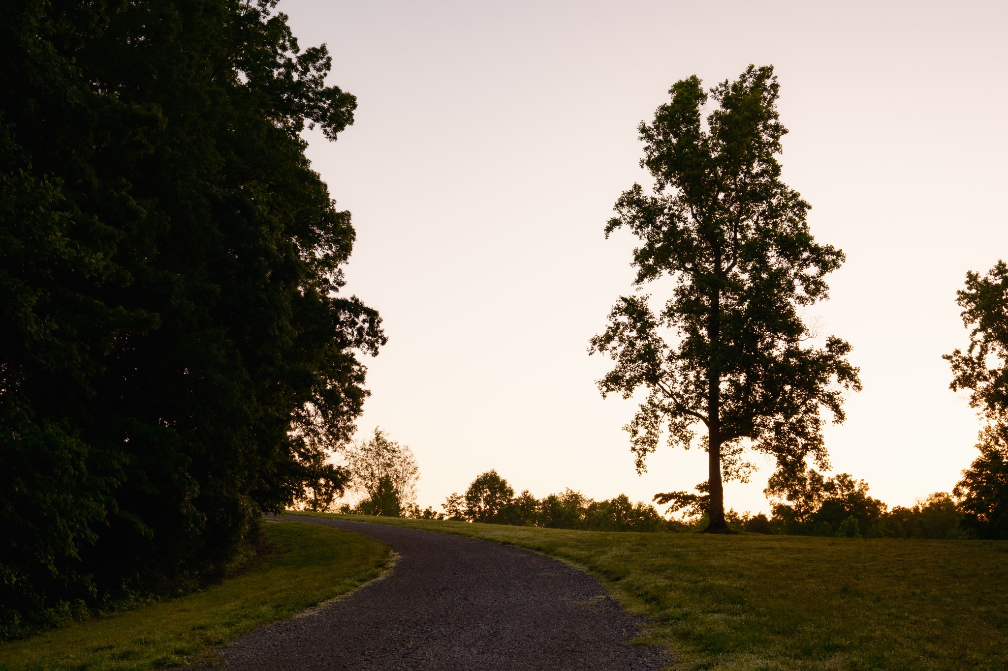 7556 Caney Fork Road Fairview, TN 37062 - Photo 32 of 47 a view of a street