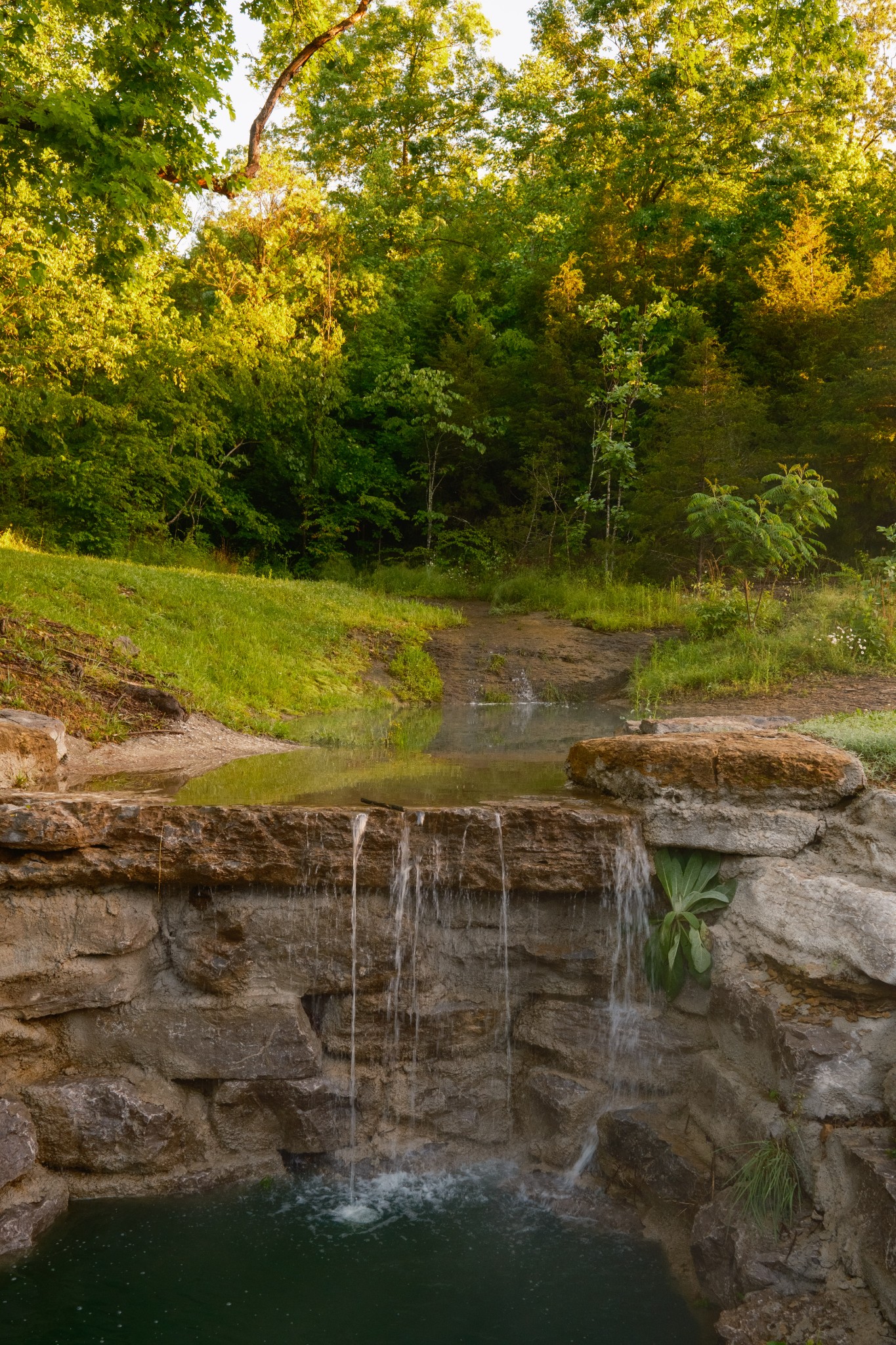 7556 Caney Fork Road Fairview, TN 37062 - Photo 35 of 47 a view of a yard with an outdoor space