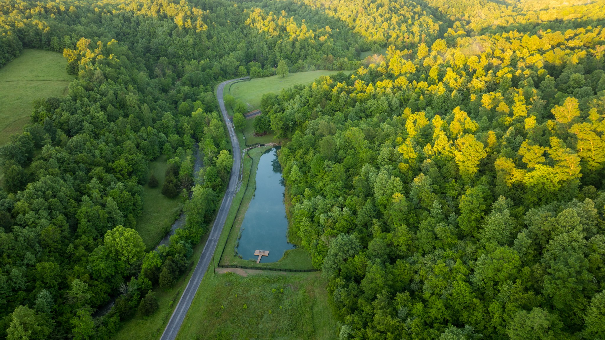 7556 Caney Fork Road Fairview, TN 37062 - Photo 41 of 47