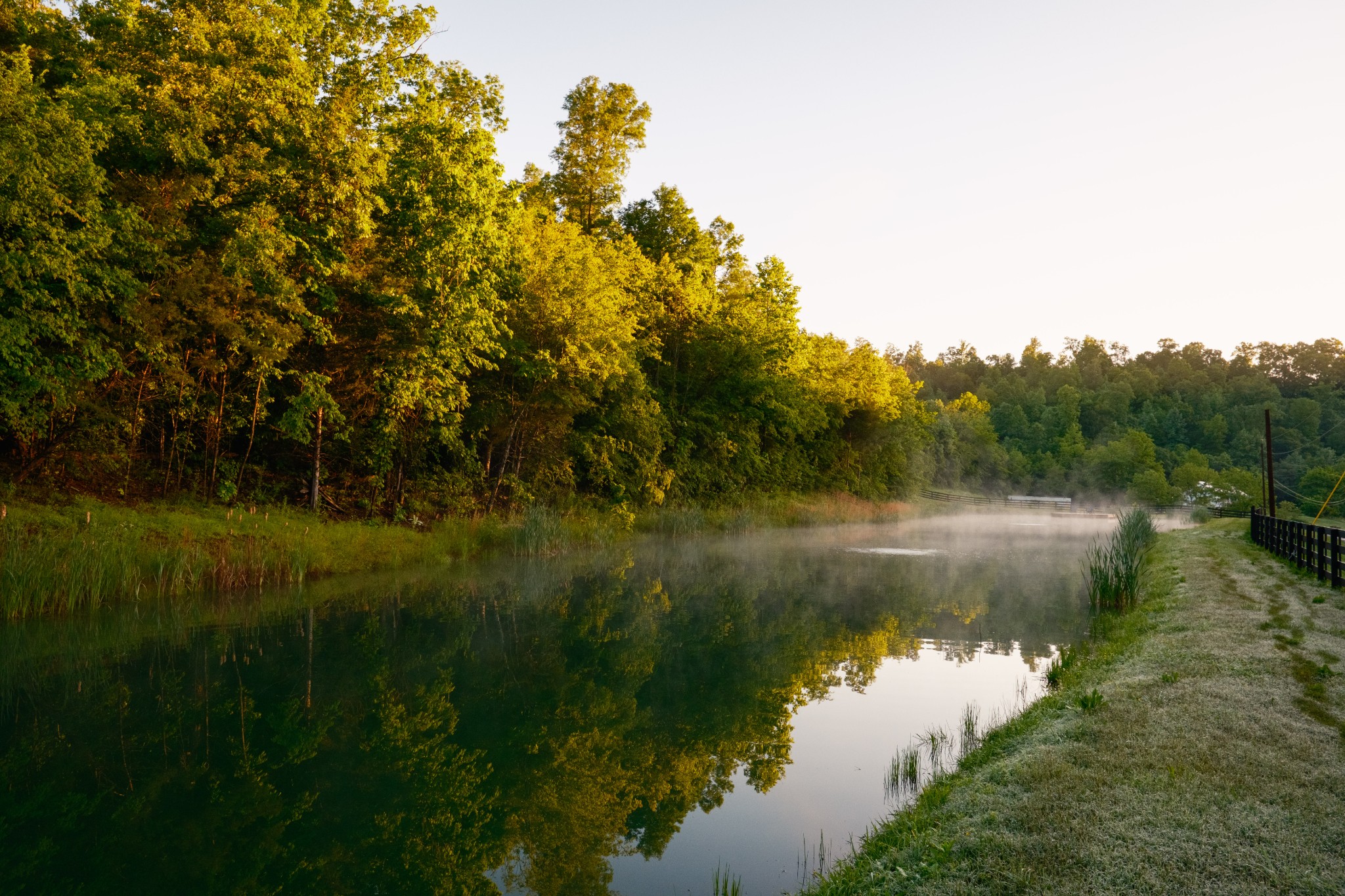 7556 Caney Fork Road Fairview, TN 37062 - Photo 43 of 47 a view of lake with green space
