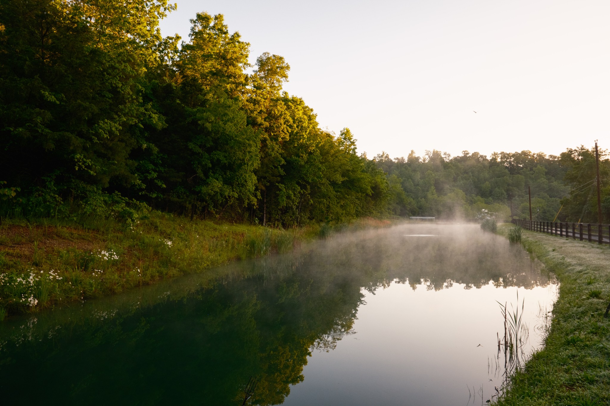 7556 Caney Fork Road Fairview, TN 37062 - Photo 7 of 47 a view of a water pond with green yard