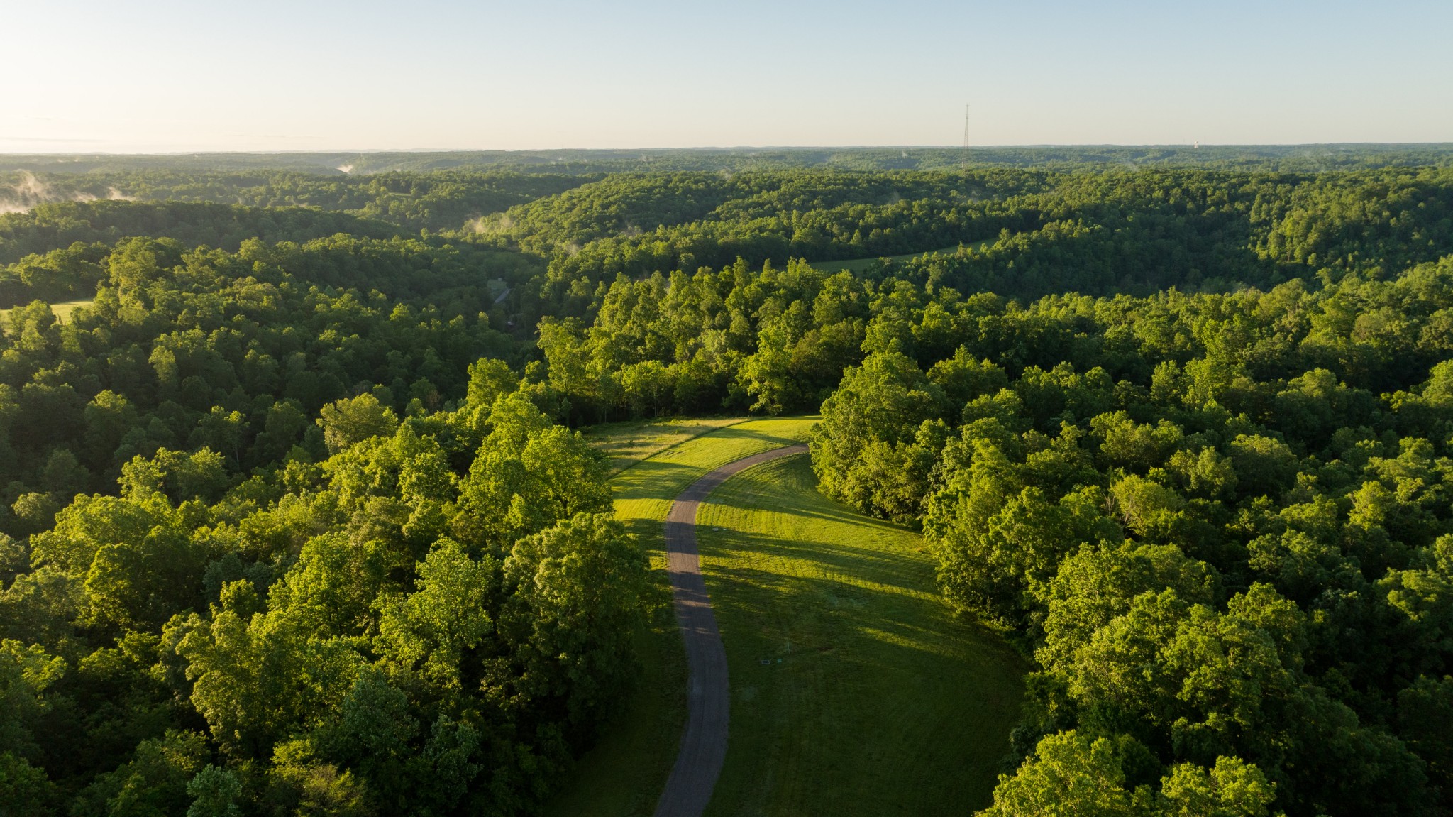 7556 Caney Fork Road Fairview, TN 37062 - Photo 9 of 47 an aerial view of residential houses with outdoor space and trees