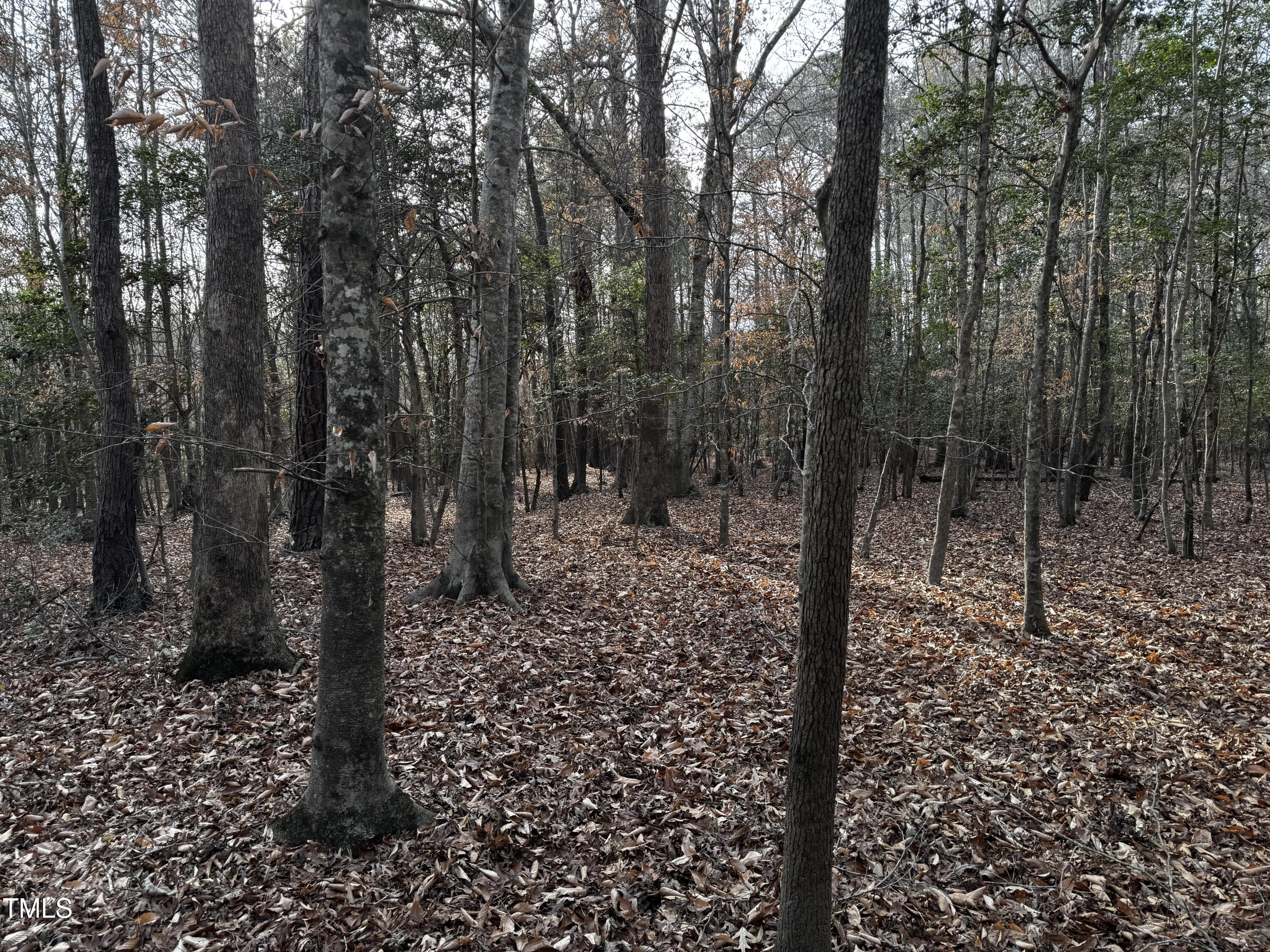 0 Lot 2c Sledge Road Bunn, NC 27508 - Photo 18 of 22 IMG_4928