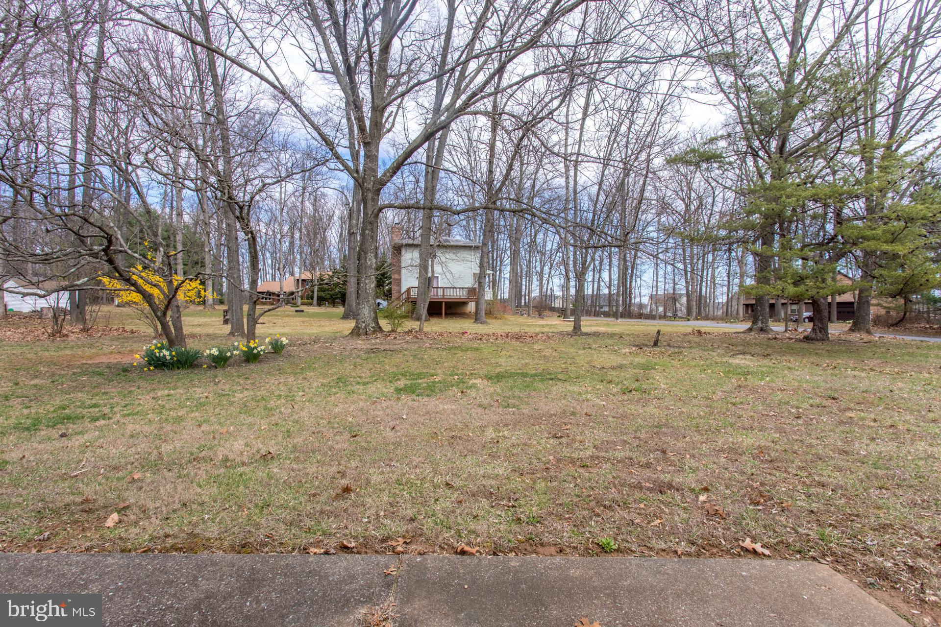 700 Sungold Road Reisterstown, MD 21136 - Photo 9 of 33 View from the back of house