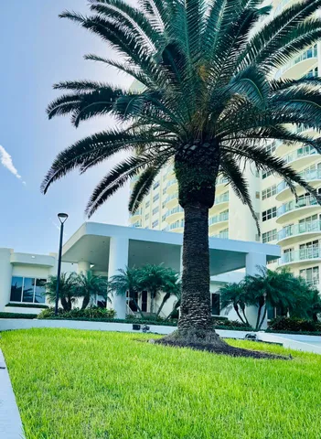 a view of a patio with table and chairs potted plants and large tree