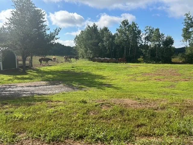 $349,000 | 24249 Nelson Road, Webster, WI 54893