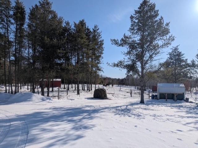 24249 Nelson Road Webster, WI 54893 - Photo 3 of 6