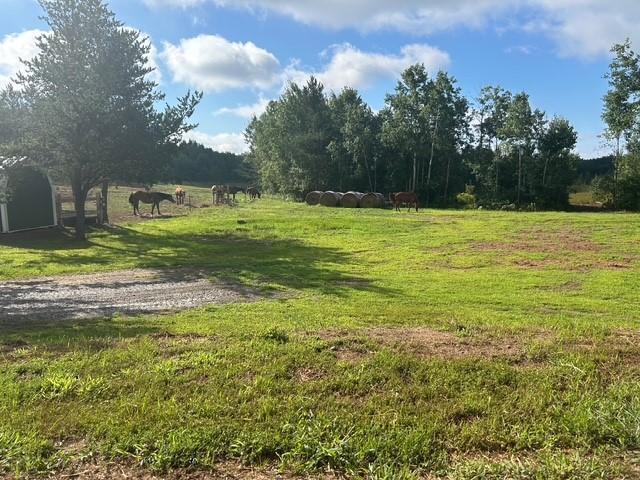 24249 Nelson Road Webster, WI 54893 - Photo 4 of 6