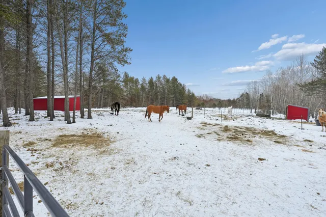 $349,000 | 24249 Nelson Road, Webster, WI 54893