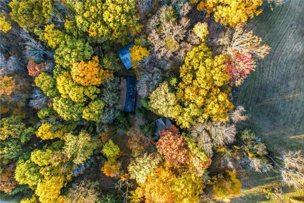 729 East Lake Road Transfer, PA 16154 - Photo 21 of 50 a plant that is in a garden