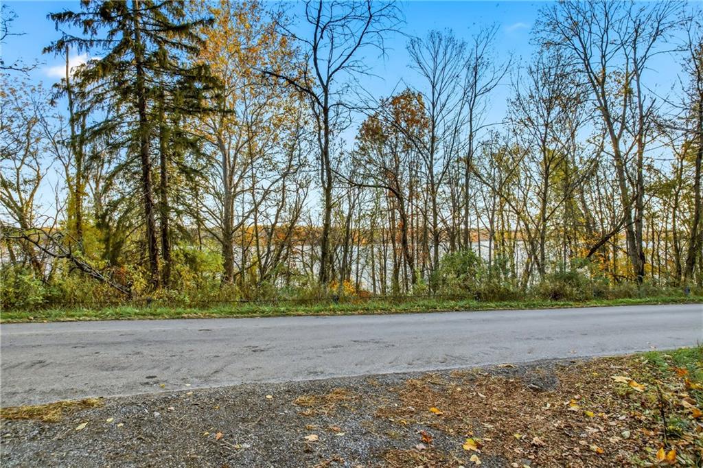 729 East Lake Road Transfer, PA 16154 - Photo 22 of 50 a view of backyard space