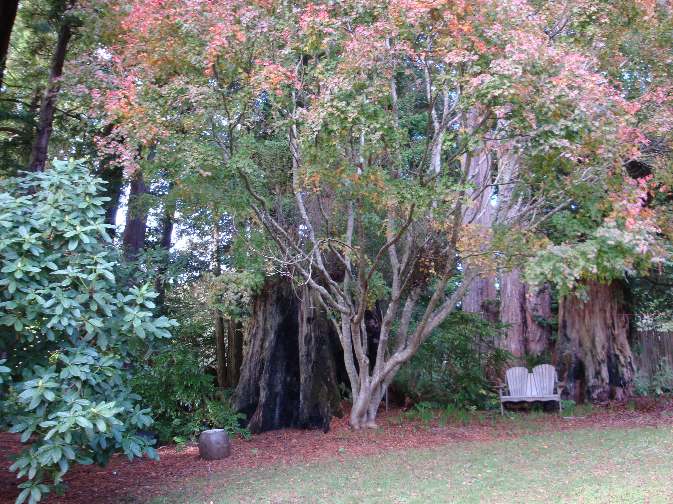 1186 Fickle Hill Road Arcata, CA 95521 - Photo 12 of 23 Gallery Image 12