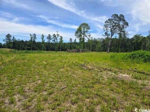 Mt Olive Church Road Green Sea, SC 29545 - Photo 4 of 5
