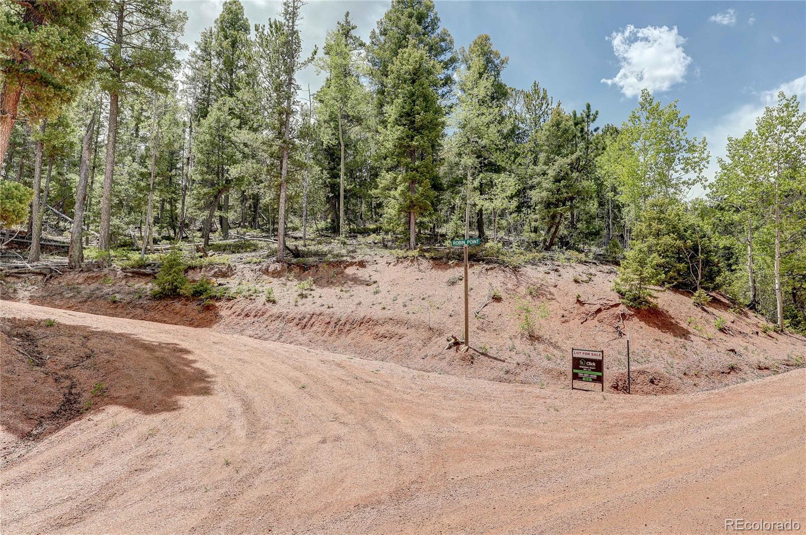 59 Robin Point Divide, CO 80814 - Photo 13 of 30 a view of a dry yard with a tree