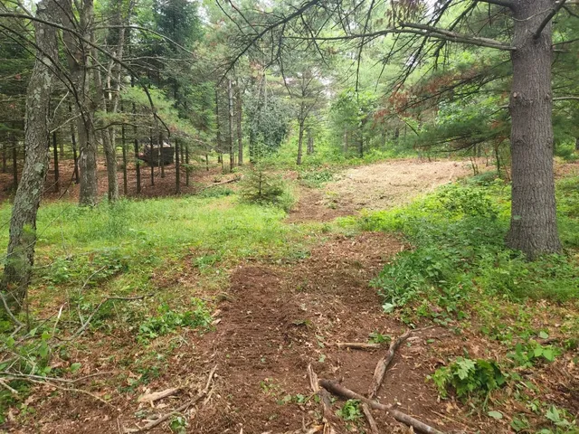 $19,900 | 180 State Highway, Unit OUT2, Porterfield, WI 54159