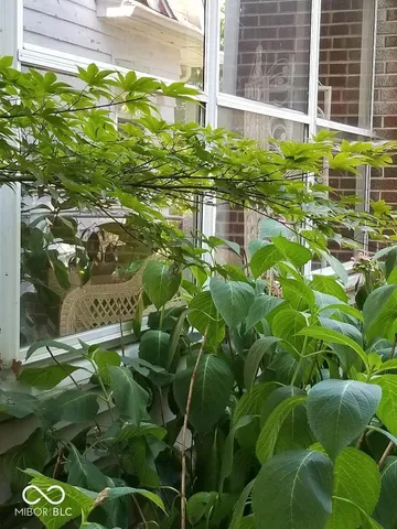 $1,495 | 711 Berkley Road, Indianapolis, IN 46208