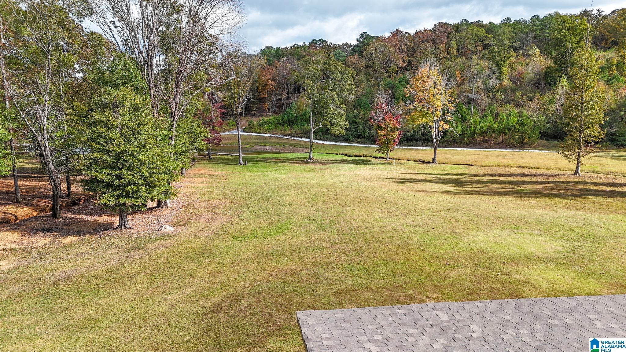 560 Davis Acres Drive Alpine, AL 35014 - Photo 2 of 9