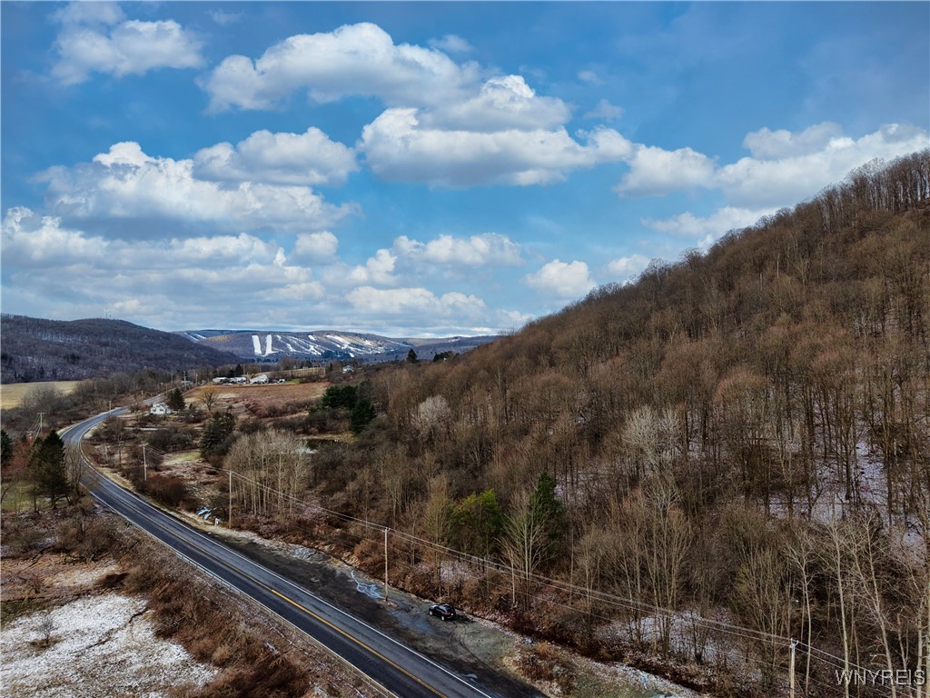 6020 Nys Route Ellicottville, NY 14731 - Photo 1 of 10 This photo shows the frontage that would inlcude l