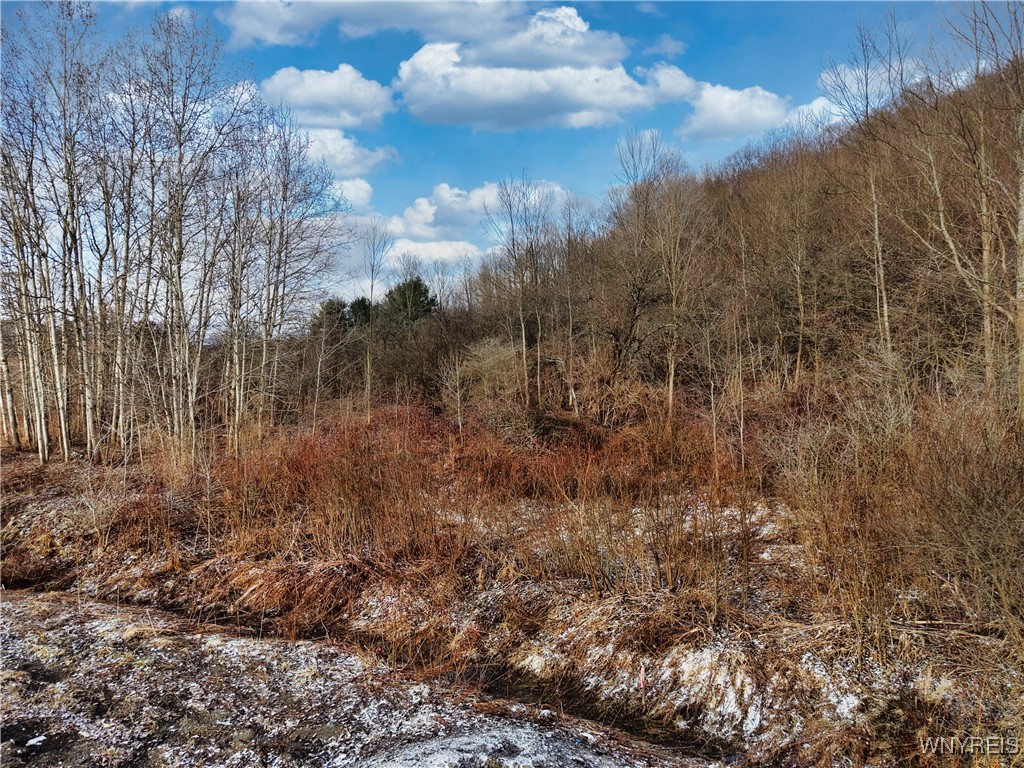 6020 Nys Route Ellicottville, NY 14731 - Photo 10 of 10