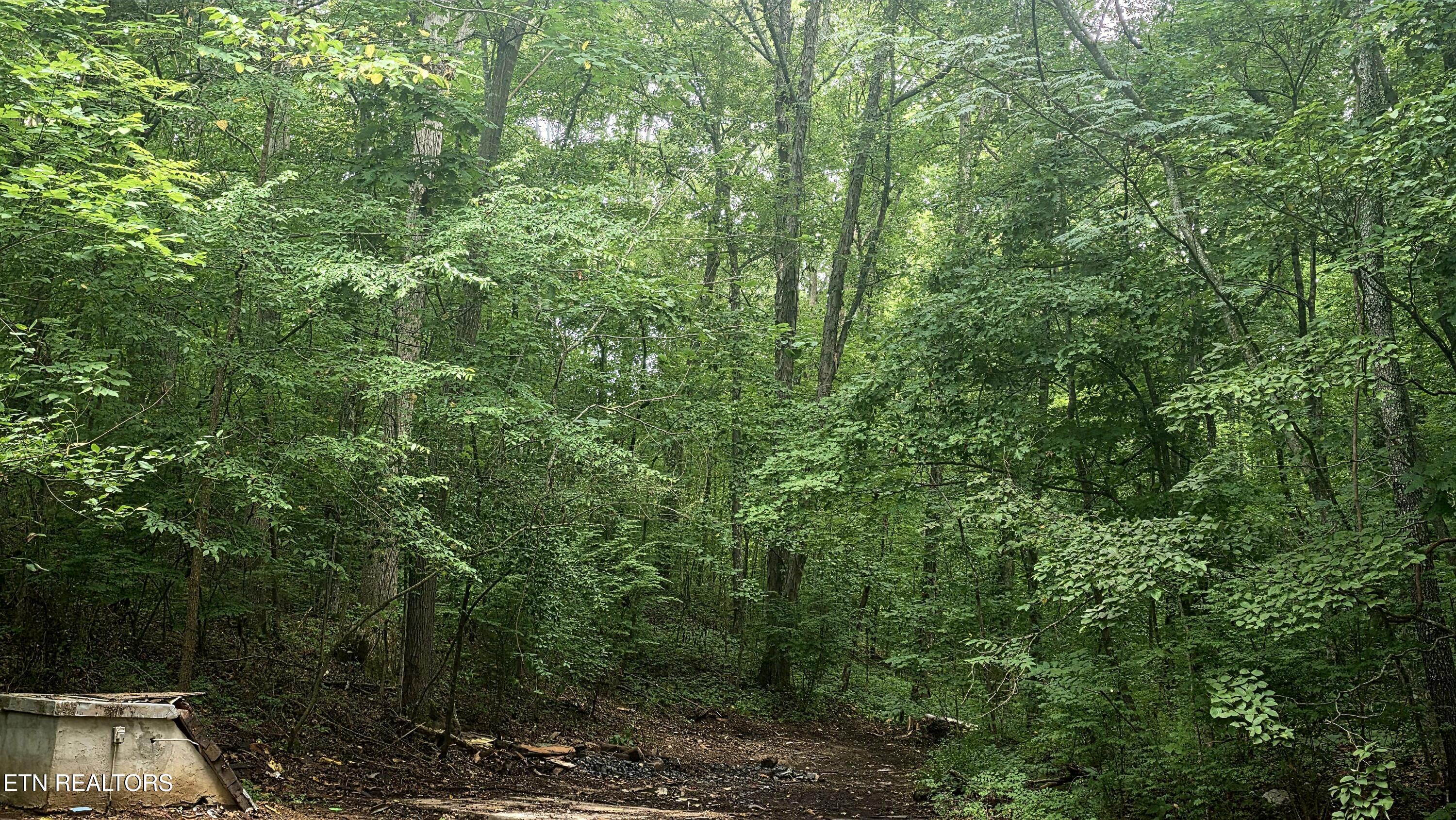 248 Walnut Grove Road Kingston, TN 37763 - Photo 15 of 18 1000034225