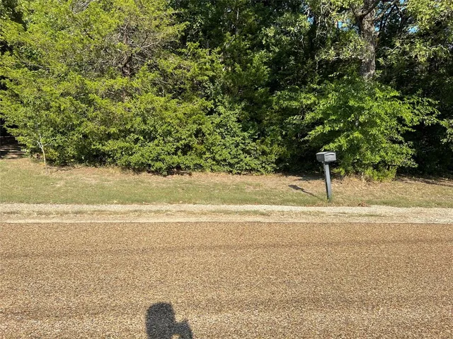 a view of an ocean and beach