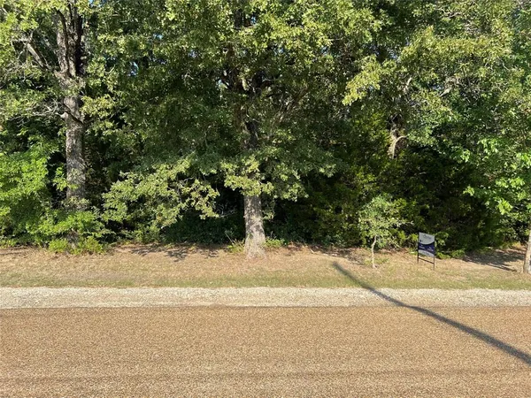 a view of a yard