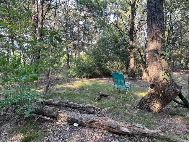 a view of a park with large trees