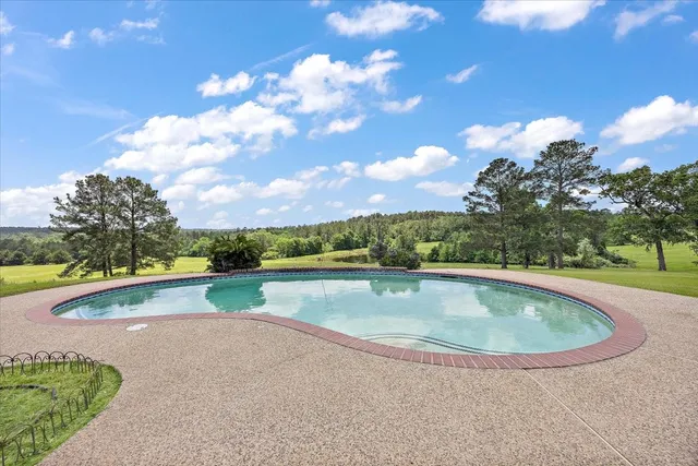 a view of swimming pool with outdoor seating and plants