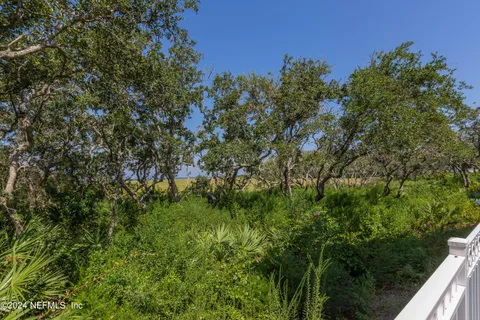 a view of a yard with wooden fence