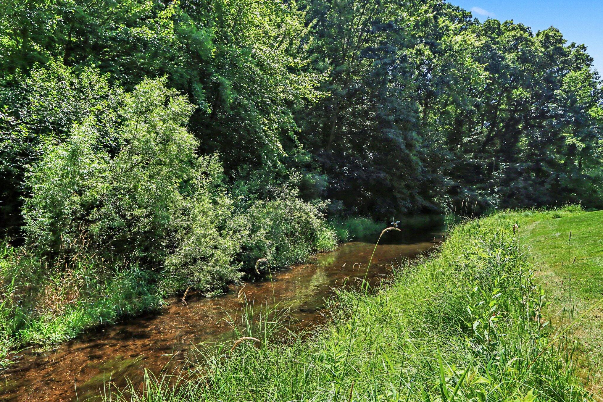 2181 Hunters Run Kalamazoo, MI 49048 - Photo 4 of 33 Creek View