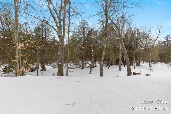 $370,000 | 13034 Spruceridge Road, Gowen, MI 49326