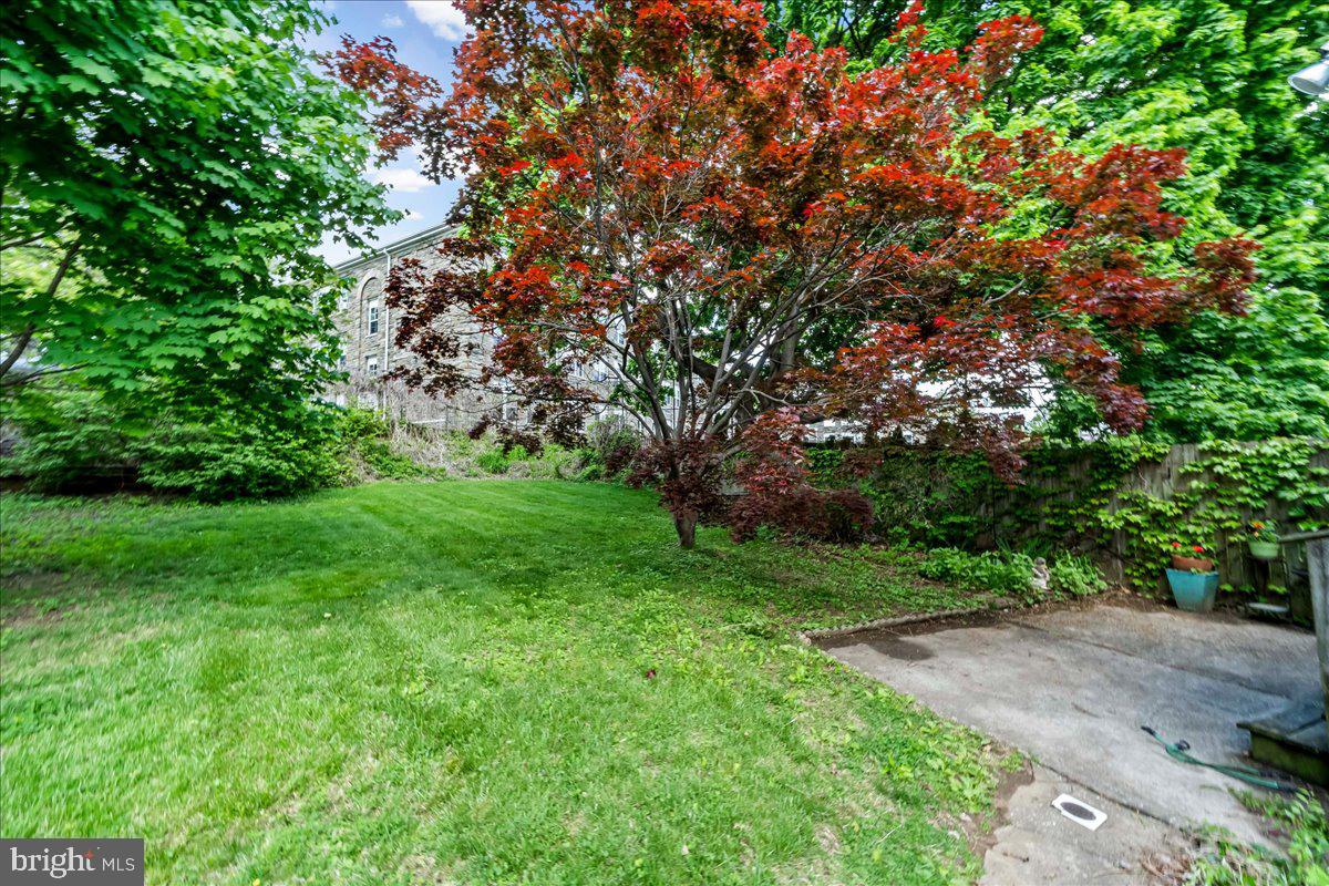 4001 Vernon Road Drexel Hill, PA 19026 - Photo 6 of 25