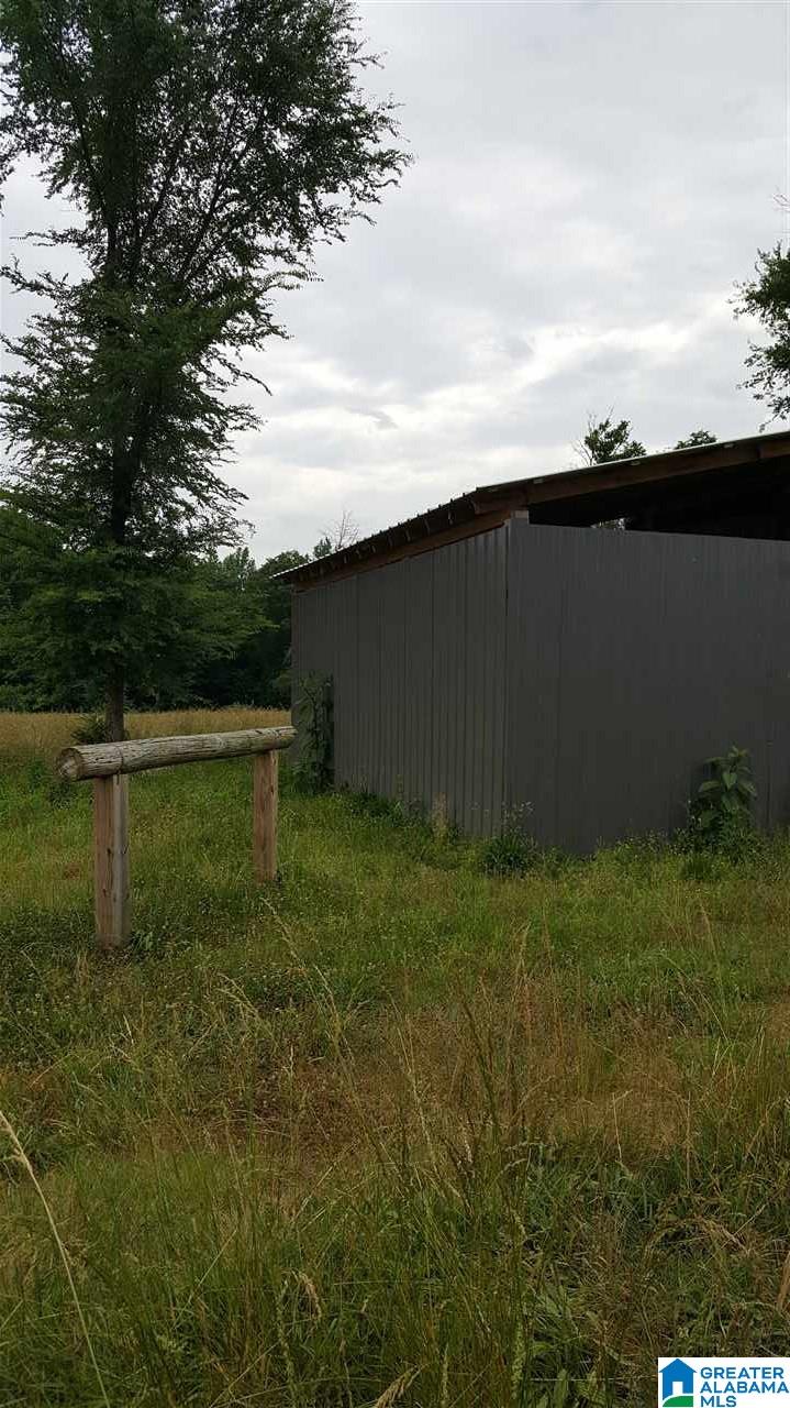 505 Rock Crusher Road Steele, AL 35987 - Photo 8 of 26