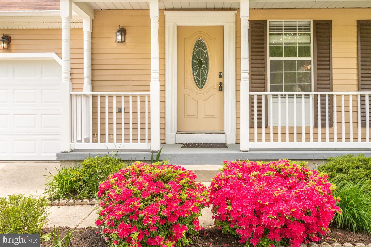 8032 Pine Ridge Road Pasadena, MD 21122 - Photo 4 of 54 Gallery Image 4