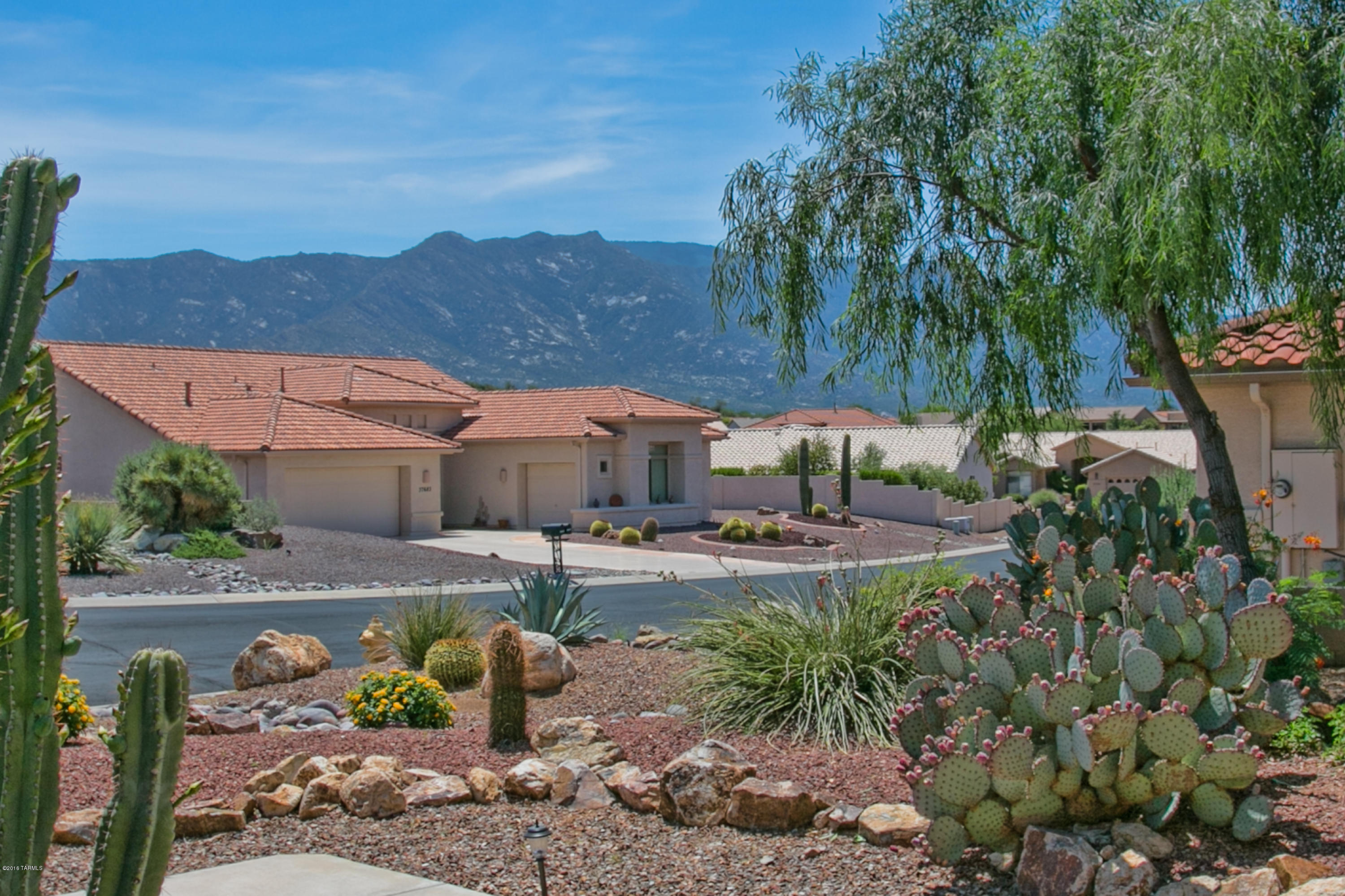 37650 South Vista Ridge Drive Saddlebrooke, AZ 85739 - Photo 3 of 28