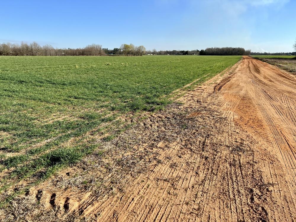 0 Byrd Road Atmore, AL 36502 - Photo 25 of 27