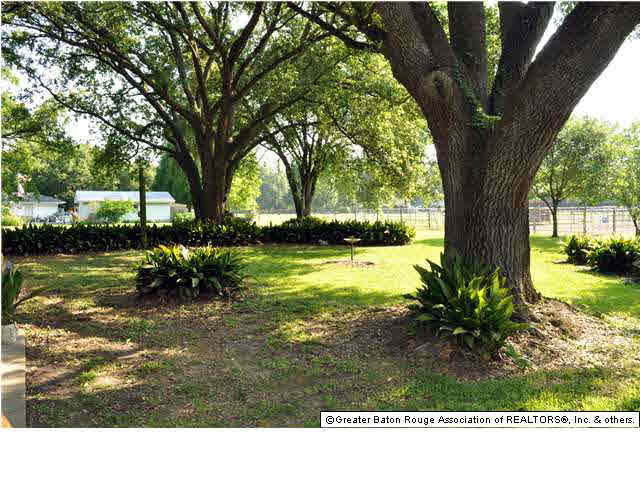 13034 Harold Road Gonzales, LA 70737 - Photo 13 of 14