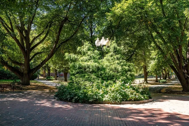 a view of park space