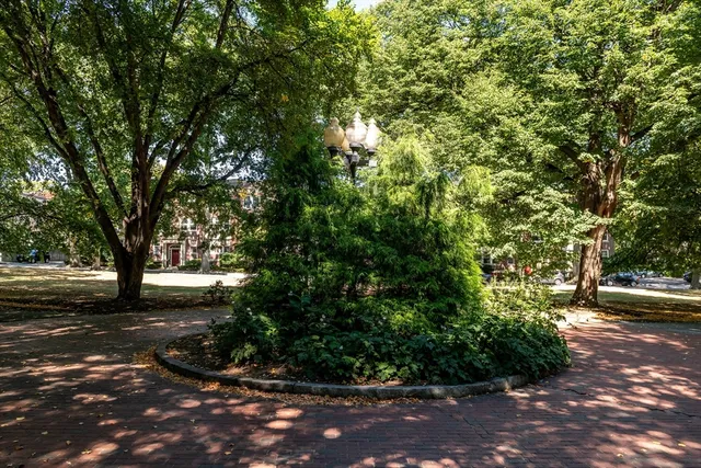 a view of road with trees