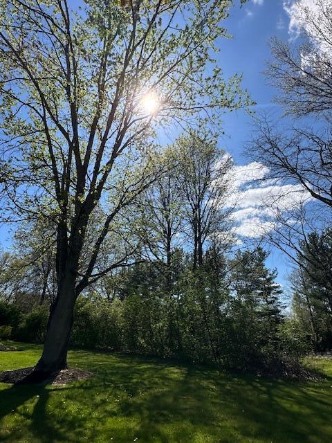 Wonderful 1-Acre Private Parcel.
