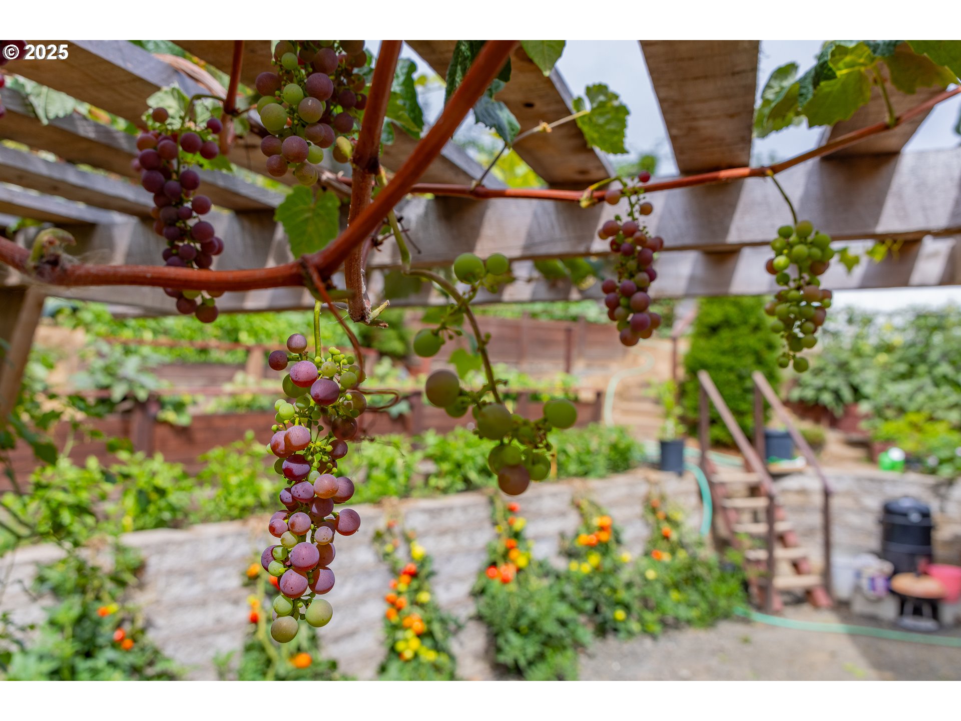 1873 East Cedar Street Myrtle Point, OR 97458 - Photo 27 of 27 an aerial view of multiple house