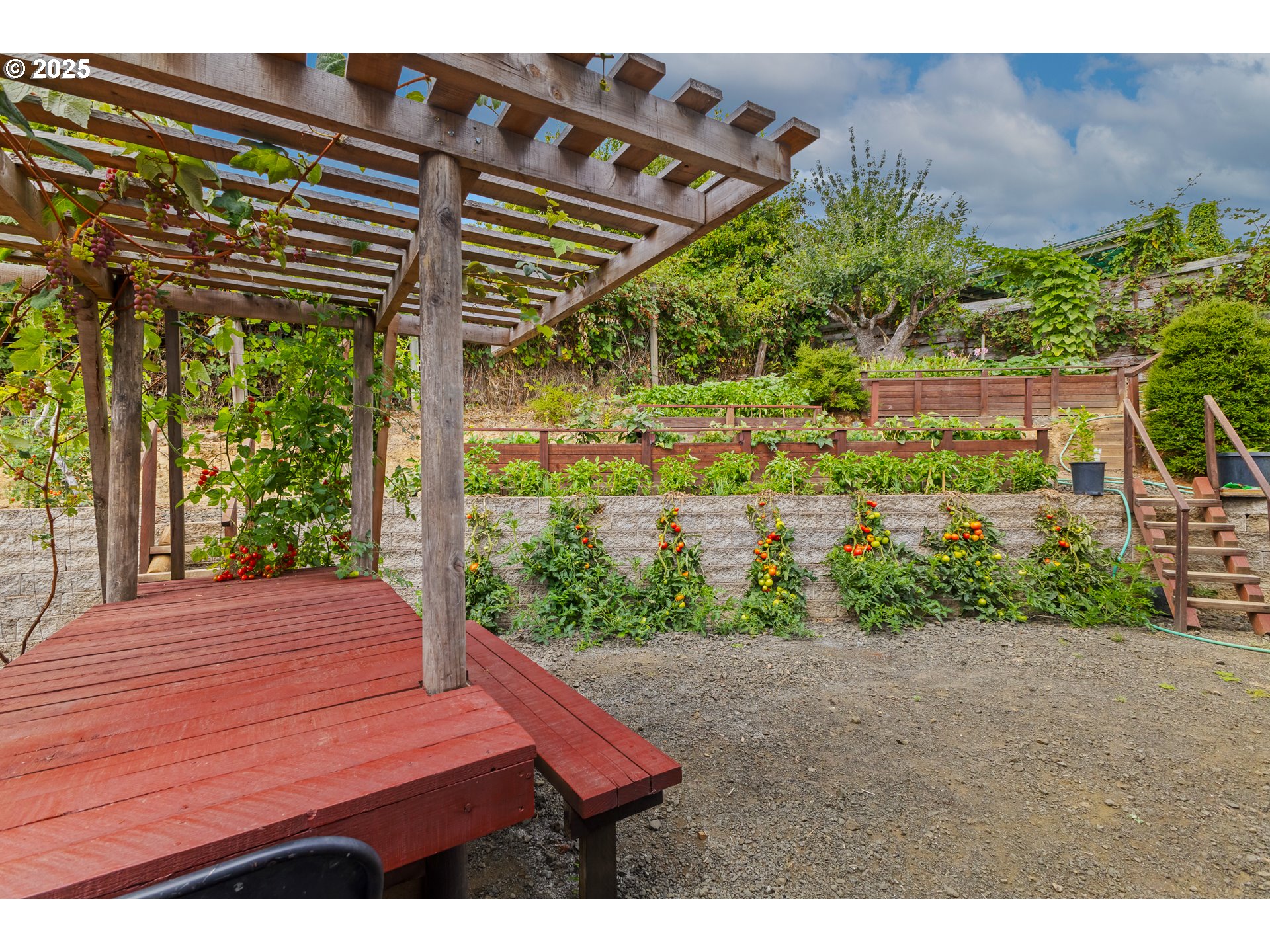 1873 East Cedar Street Myrtle Point, OR 97458 - Photo 5 of 27 a view of a backyard with plants
