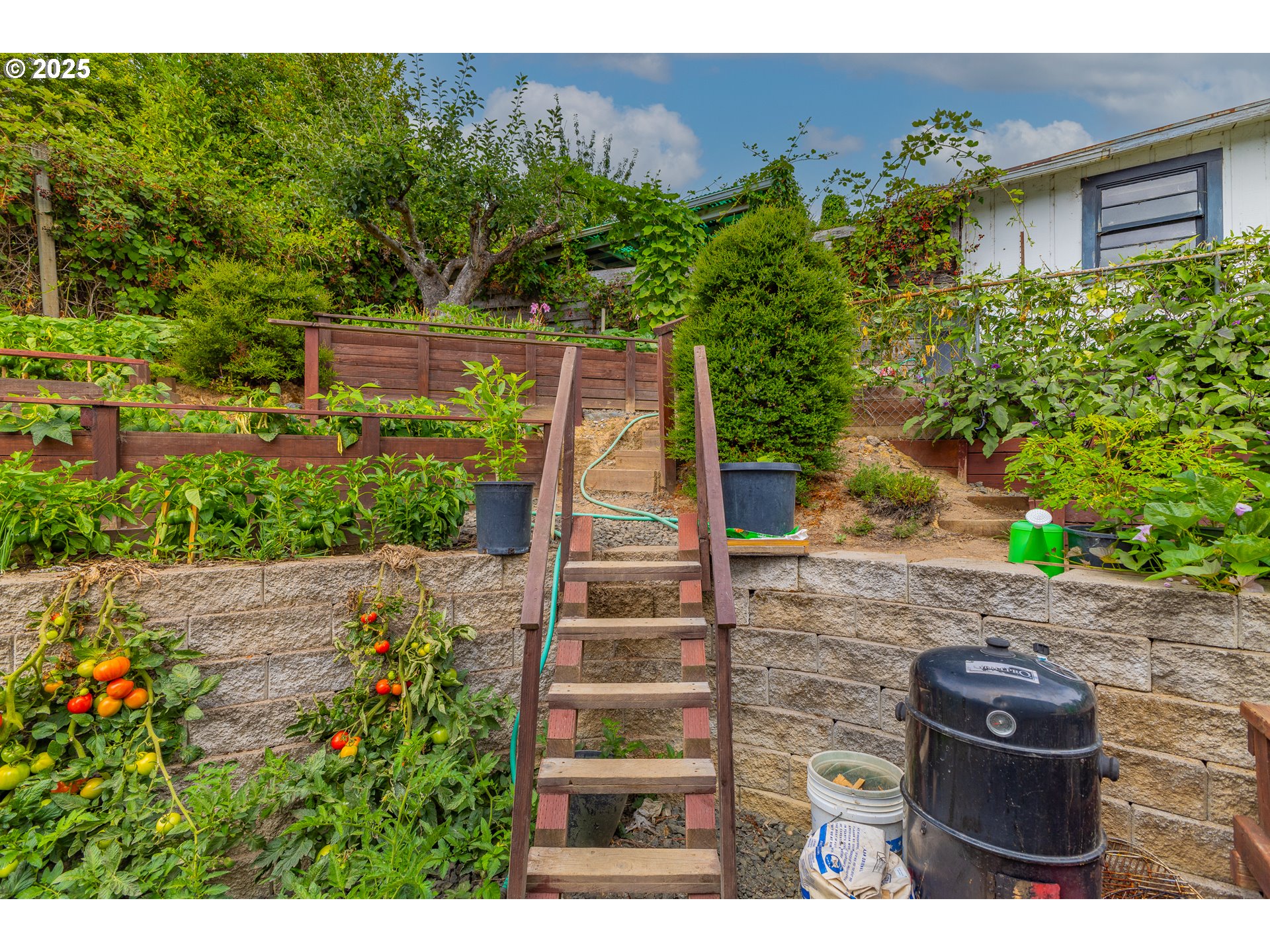 1873 East Cedar Street Myrtle Point, OR 97458 - Photo 6 of 27 a backyard of a house with lots of green space