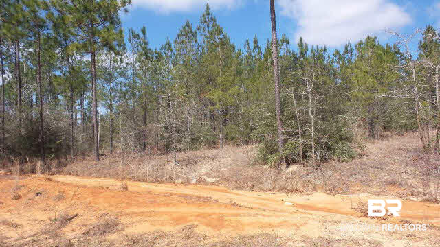 43 10 Mile Road Pensacola, FL 32534 - Photo 15 of 27