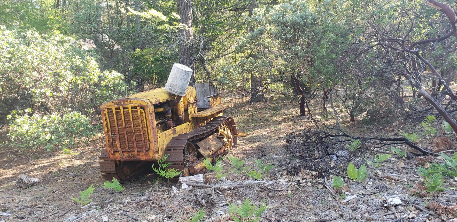 8312 Harrington Flat Road Middletown, CA 95461 - Photo 14 of 19 a view of a yard in the forest