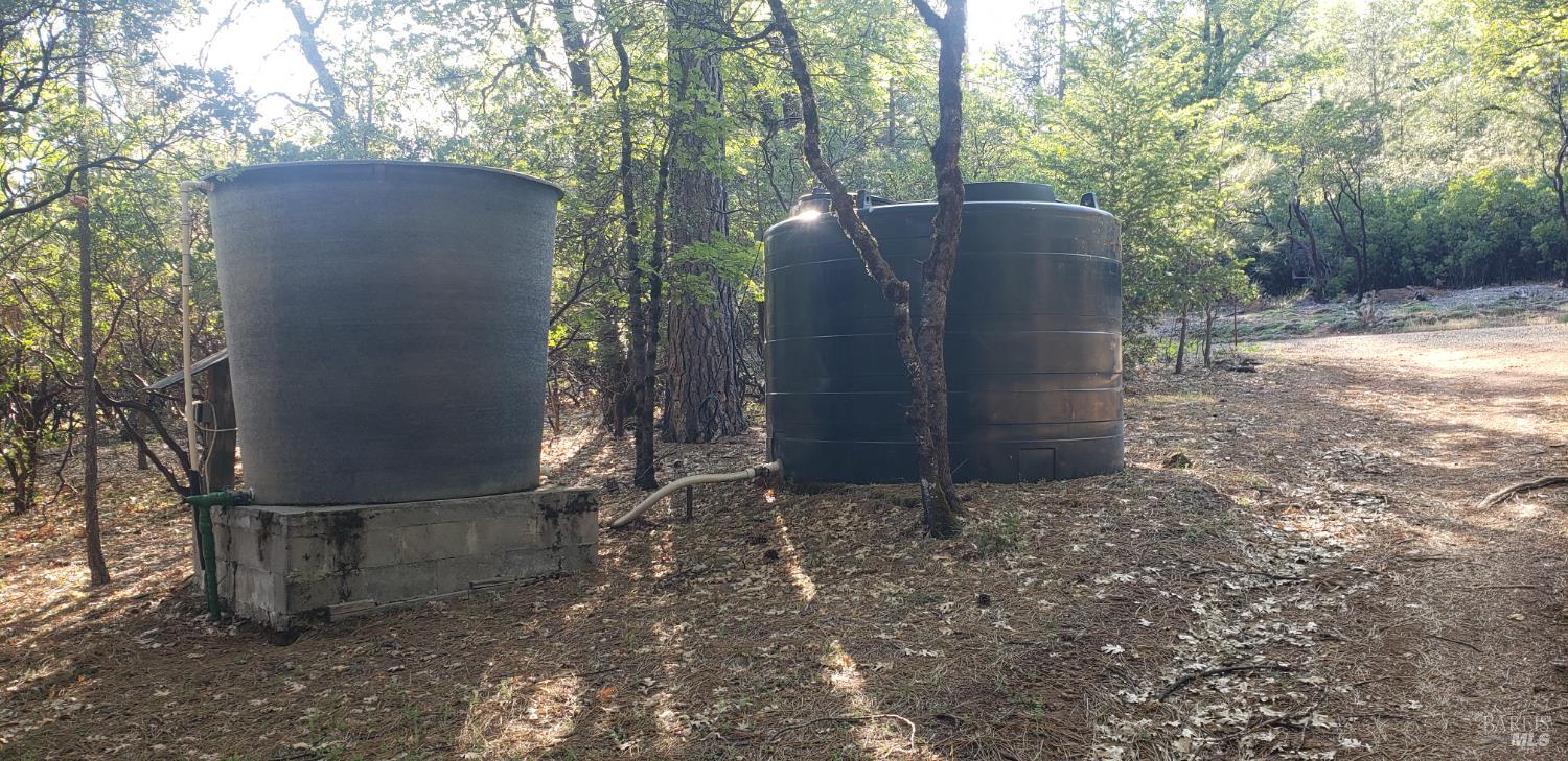 8312 Harrington Flat Road Middletown, CA 95461 - Photo 15 of 19 a view of potted plants in a backyard