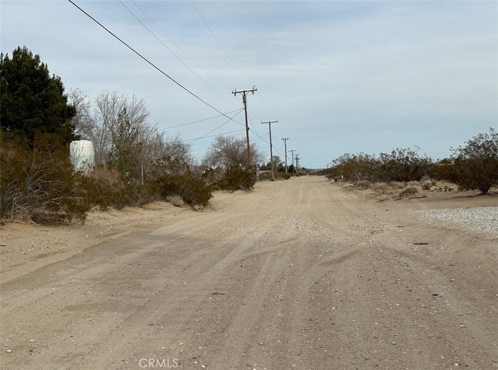 0 Sunset Road Lucerne Valley, CA 92356 - Photo 9 of 16 a view of a dry yard with a tree