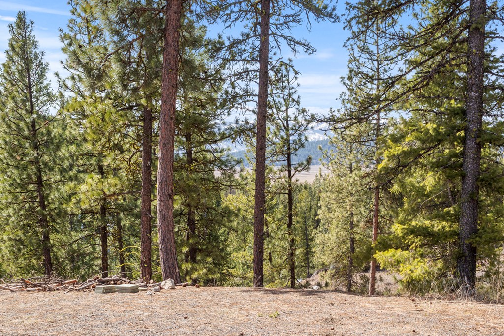 17 Tito Trail, Unit 1 Cascade, ID 83611 - Photo 7 of 16 Mountains & Valley Floor Views
