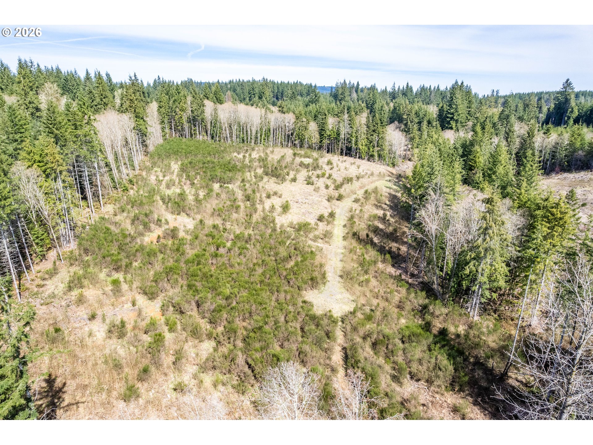 1319 Eufaula Heights Road Longview, WA 98632 - Photo 12 of 23