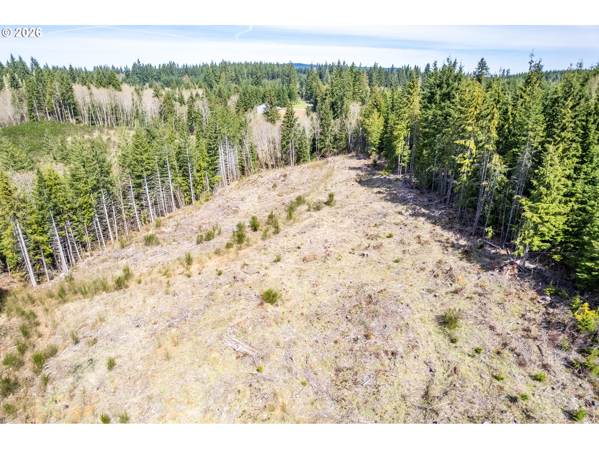 1319 Eufaula Heights Road Longview, WA 98632 - Photo 13 of 23